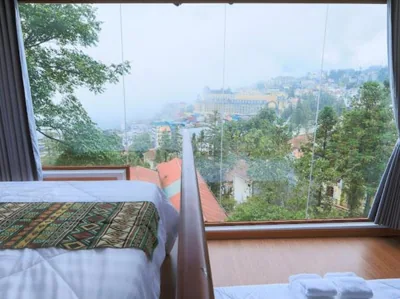 Sapa Succulent Garden Homestay - Vườn Sen Đá Homestay – Photos 16